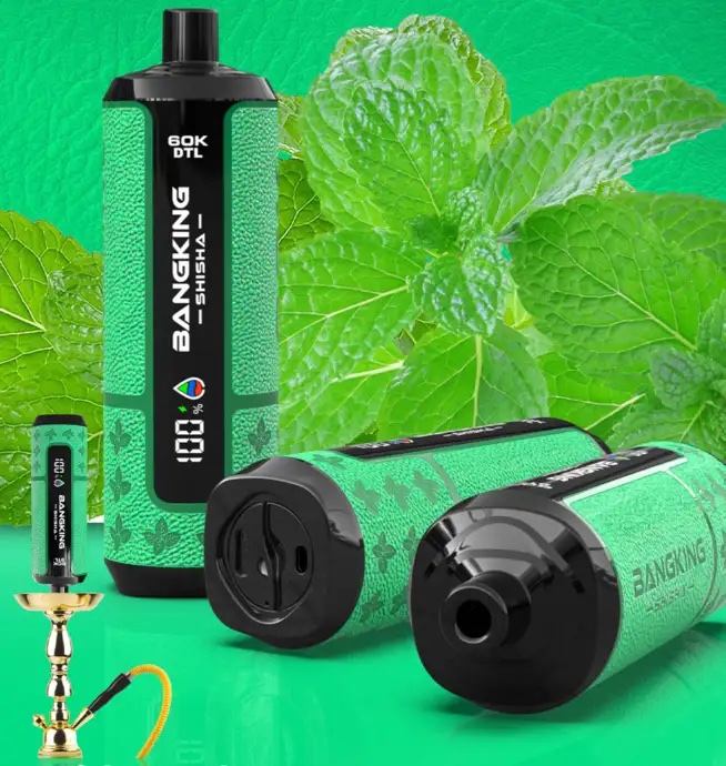 BANG KING SHISHA 60k ミント